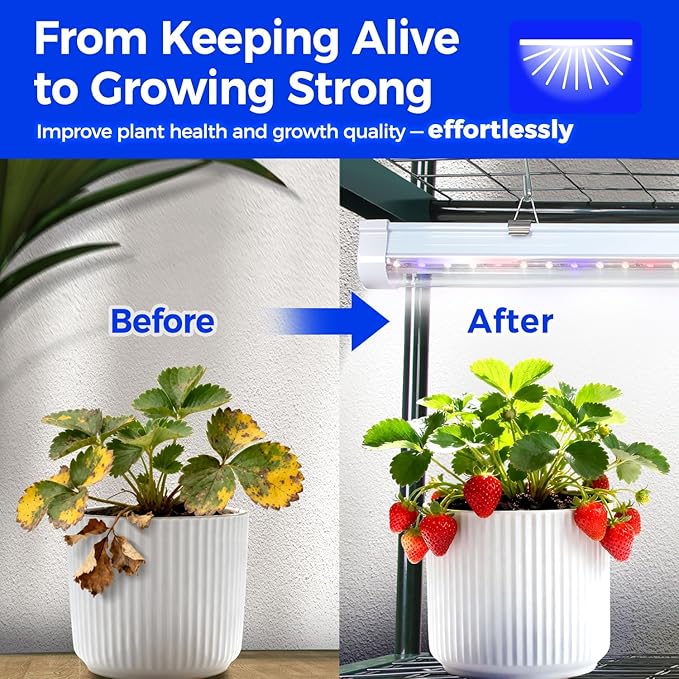 Indoor Greenhouse with Grow Light, Ohuhu 4-Tier Mini Green House for Winter - Full Spectrum Greenhouses for Seed Starting Small Portable Green Houses Waterproof PVC Cover & Adjustable Shelves