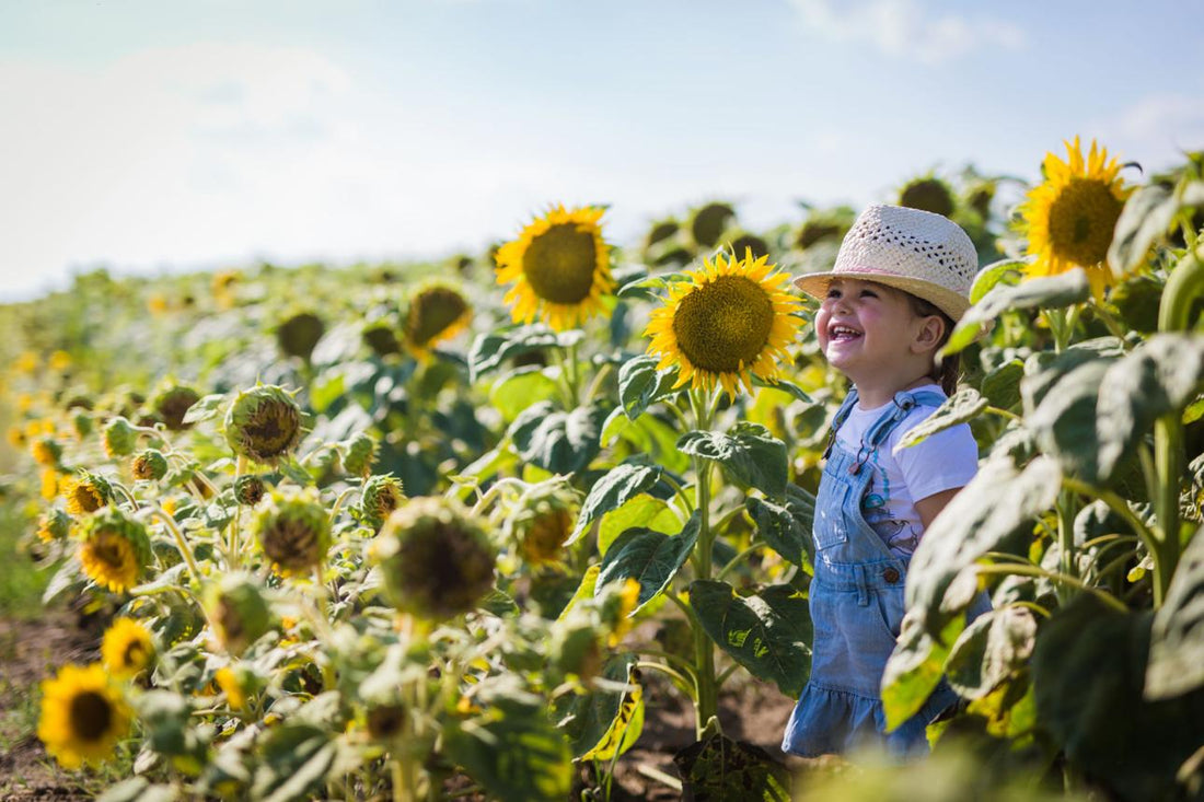 Why Summer Feels So Special to Children 🌞