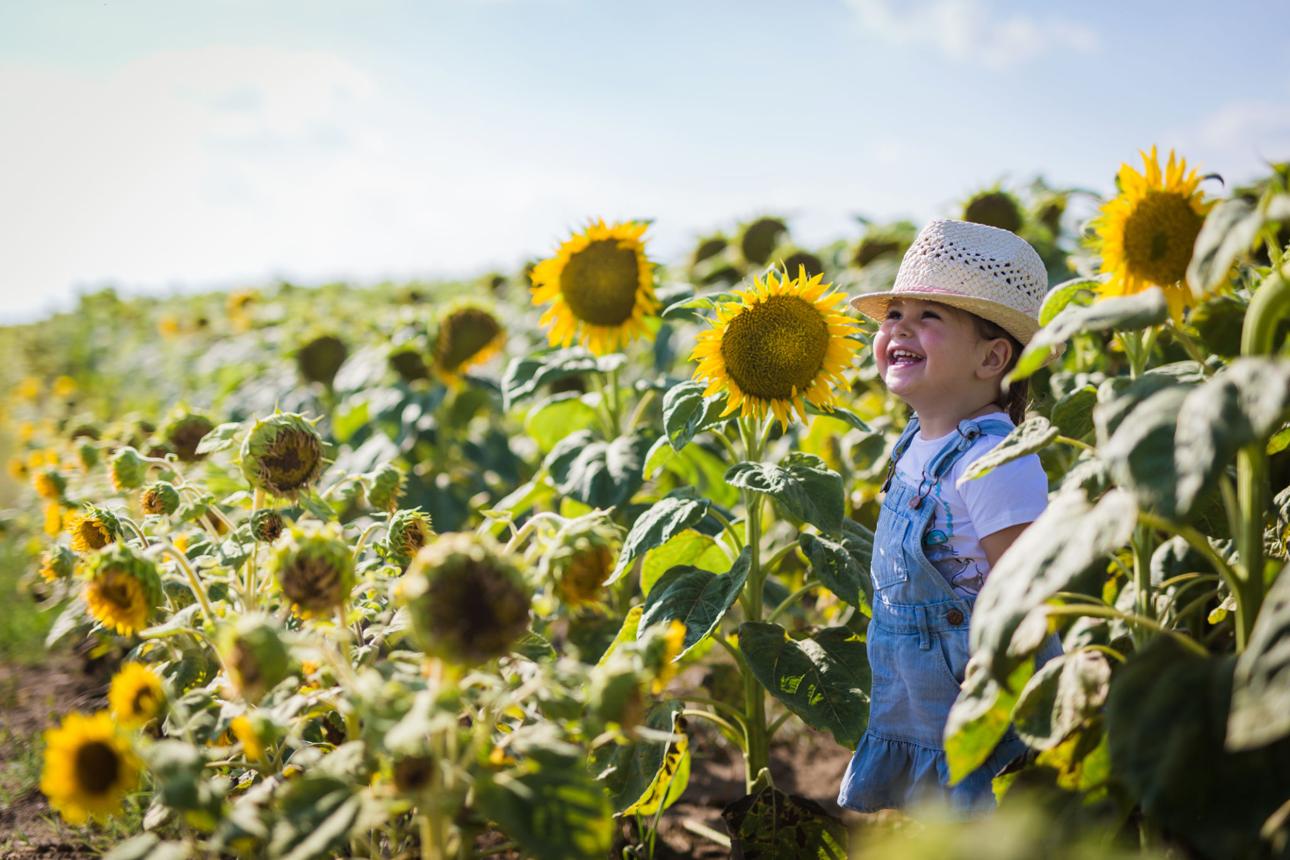Why Summer Feels So Special to Children 🌞