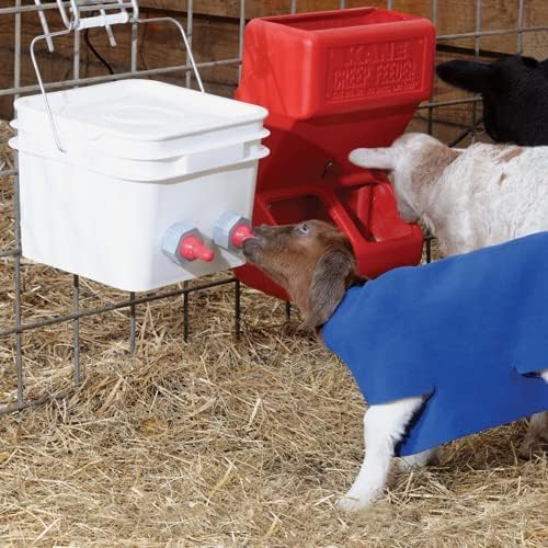 Premier 1 Shepherd's Choice Goat Kid Milk Replacer - 8 lb Bucket