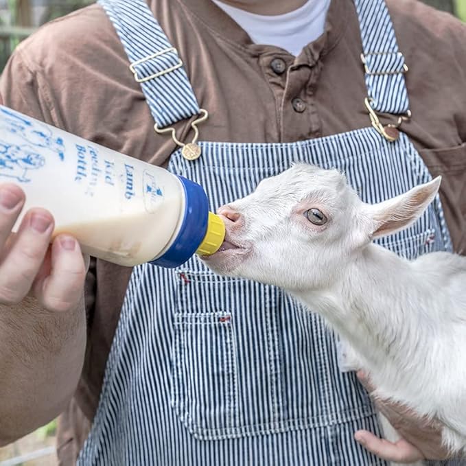 Premier 1 Shepherd's Choice Goat Kid Milk Replacer - 8 lb Bucket