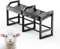 Portable Bottle Rack, Calf Bottle Holder, Free Standing Bottle Feeder Rack, 6 Feeding Ports Feed Baby Goat Sheep Lamb Puppy (Bottle NOT Included)
