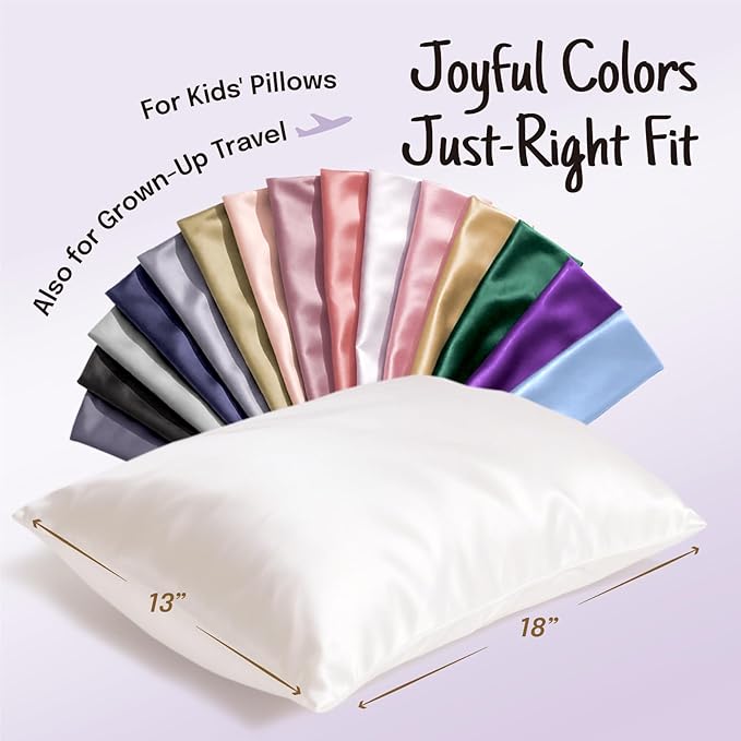 OLESILK 100% Mulberry Silk Toddler Pillowcase for Hair and Skin, Both Sides 19 Momme Pure Natural Silk Travel Pillow Cases with Hidden Zipper, 13"x 18", Silver Grey