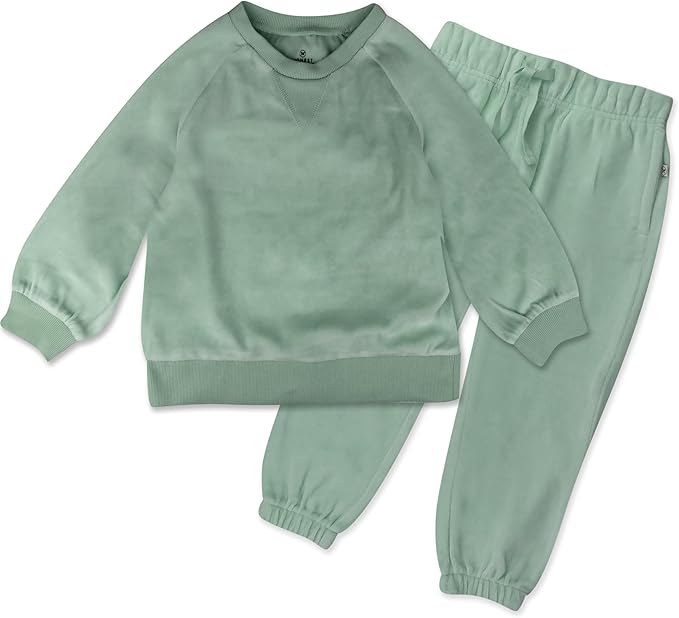 HonestBaby Baby 2-Piece Cozy Velour 100% Organic Cotton Sweatshirt and Jogger Sweatpants Set