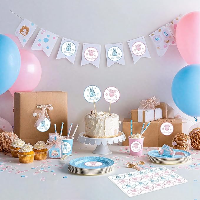 80Pcs Cute Baby Clothes Decal Stickers Roll, 2 inch Team Boy Team Girl Gender Reveal Labels, Pink and Blue Self-Adhesive Decorative Round Stickers for Brithday Baby Shower Party Supplies
