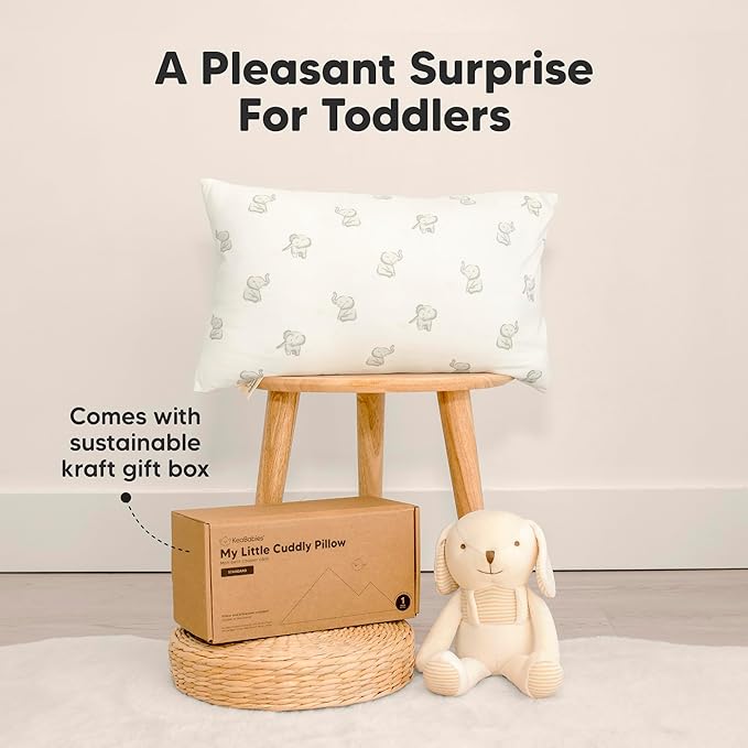 Toddler Pillow with Pillowcase - 13x18 My Little Cuddly Pillow, Viscose Derived From Bamboo Nursery Toddler Pillows for Sleeping,Kids Pillow,Small Travel Pillows,Mini Toddler Bed Pillow (Sage)
