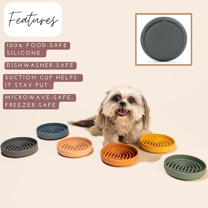 Should We Go? Slow Feeder for Dogs & Cats, The Slowdown Bowl Silicone Slow Eating Mealtime Solution with Modern Lick Mat Design, Reduces Gulping, Fits 1 Cup, 6” Across x 1.25” Tall, Small-Tan
