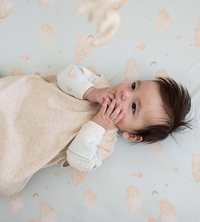 Burt's Bees Baby Unisex Newborn Essentials 100% Organic Cotton Beekeeper Wearable Blanket