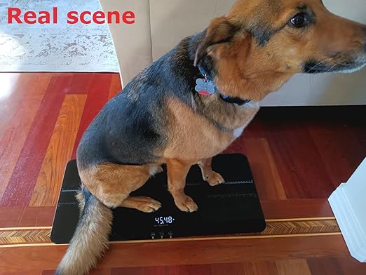 SIKE Medium-Small Veterinary Scale, Dog Scale (±10g) Accuracy, Max 220lbs, Digital Pet Scales and USB Recharging Cord Included, 27 x 13 inch Tempered Glass Platform with Anti Slip Sticker