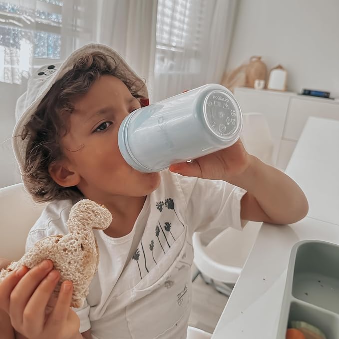 nouka Insulated Non-Spill Sippy Cup | Leak Proof and Easy Grip | Keeps Drinks Hot or Cold | Fern