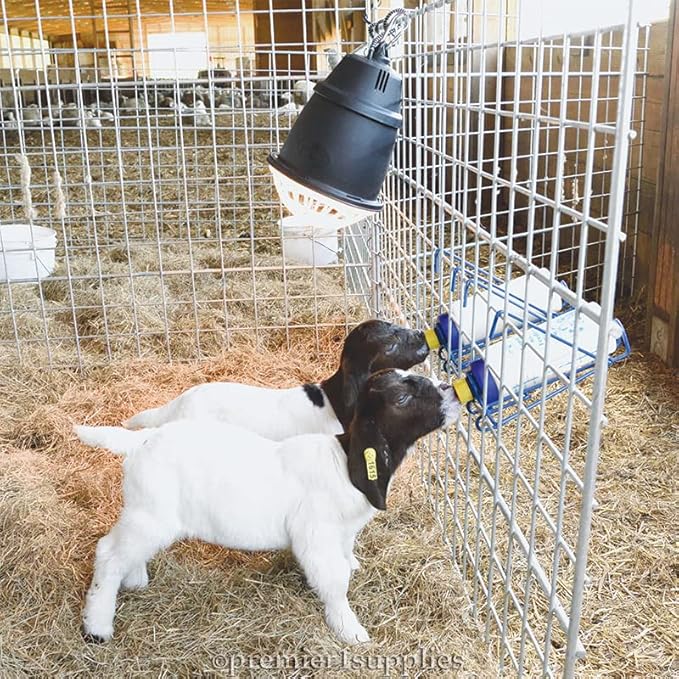 Premier 1 Shepherd's Choice Goat Kid Milk Replacer - 8 lb Bucket