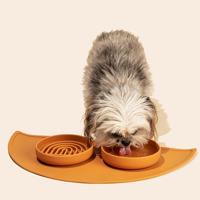 Should We Go? Slow Feeder for Dogs & Cats, The Slowdown Bowl Silicone Slow Eating Mealtime Solution with Modern Lick Mat Design, Reduces Gulping, Fits 1 Cup, 6” Across x 1.25” Tall, Small-Blush