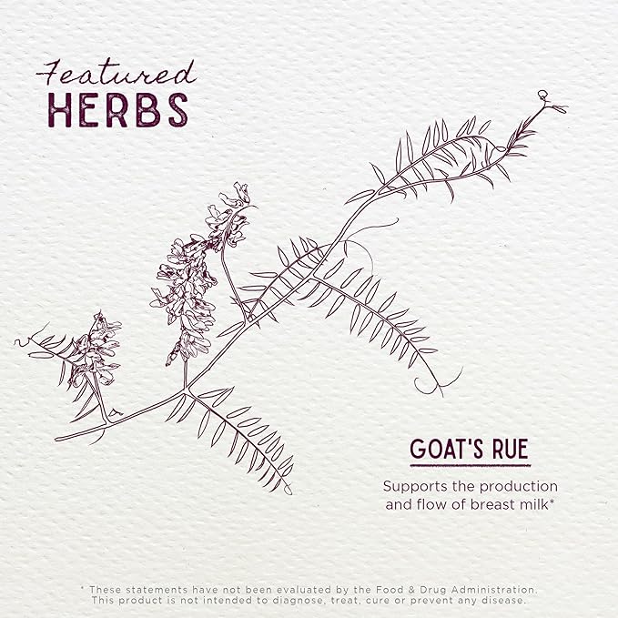 WishGarden Herbs Goat's Rue Lactation Supplement - Organic Herbal Tincture to Increase Breastmilk Supply, Fenugreek Free Lactation Supplement, Breast Milk Supply Boost, Flow, Quality & Production, 2oz