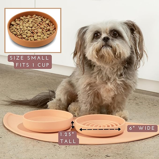 Should We Go? Slow Feeder for Dogs & Cats, The Slowdown Bowl Silicone Slow Eating Mealtime Solution with Modern Lick Mat Design, Reduces Gulping, Fits 1 Cup, 6” Across x 1.25” Tall, Small-Tan