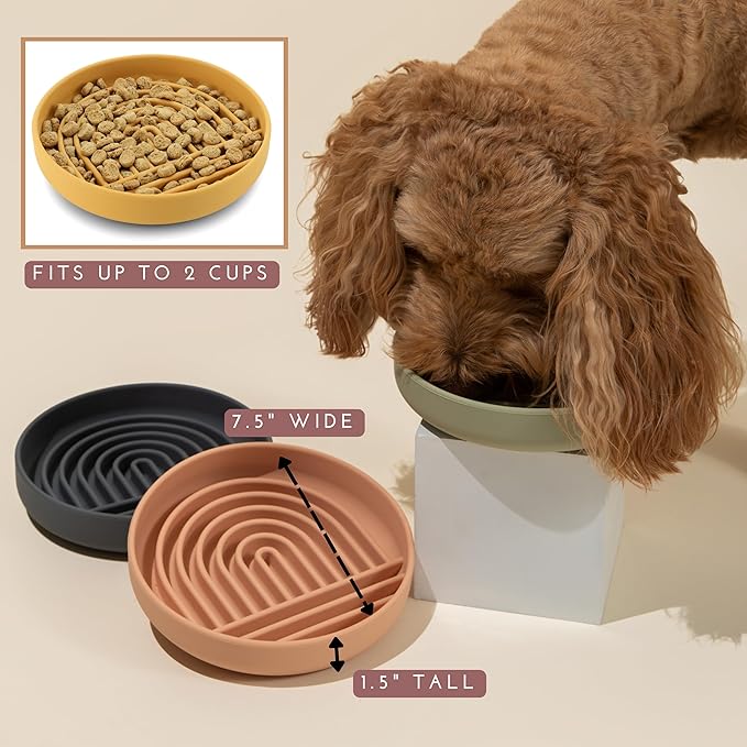 Should We Go? Slow Feeder for Dogs & Puppies, The Slowdown Bowl Silicone Slow Eating, Modern Lick Mat Design, Reduces Gulping, Fits 2 Cups, 7.5” Across x 1.5” Tall, Mealtime Challenge, Medium-Spruce