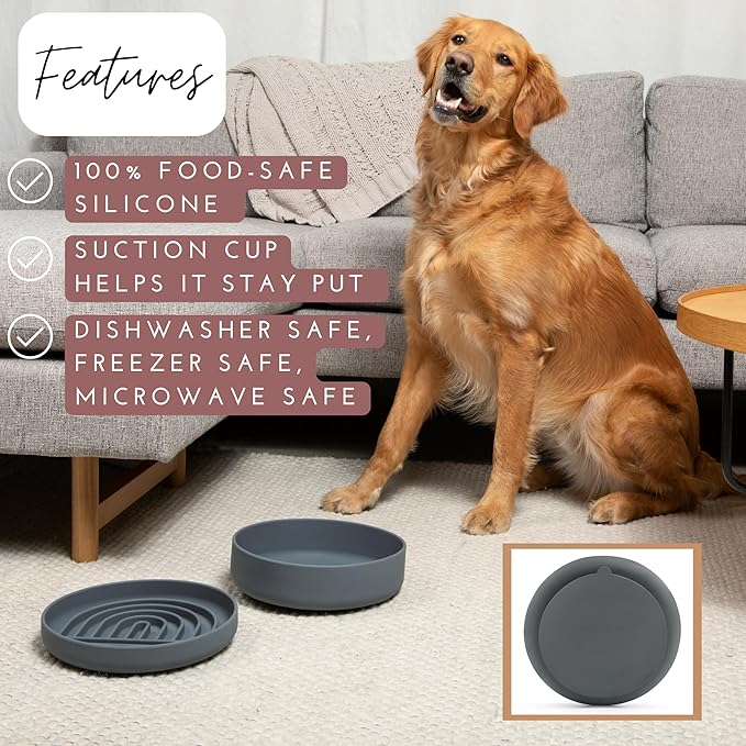 Should We Go? Slow Feeder for Dogs & Puppies, The Slowdown Bowl Silicone Slow Eating, Modern Lick Mat Design, Reduces Gulping, Fits 2.5 Cups, 9.5” Across x 1.5” Tall, Mealtime Challenge, Large-Sage