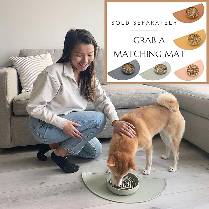 Should We Go? Slow Feeder for Dogs & Cats, The Slowdown Bowl Silicone Slow Eating Mealtime Solution with Modern Lick Mat Design, Reduces Gulping, Fits 1 Cup, 6” Across x 1.25” Tall, Small-Blush