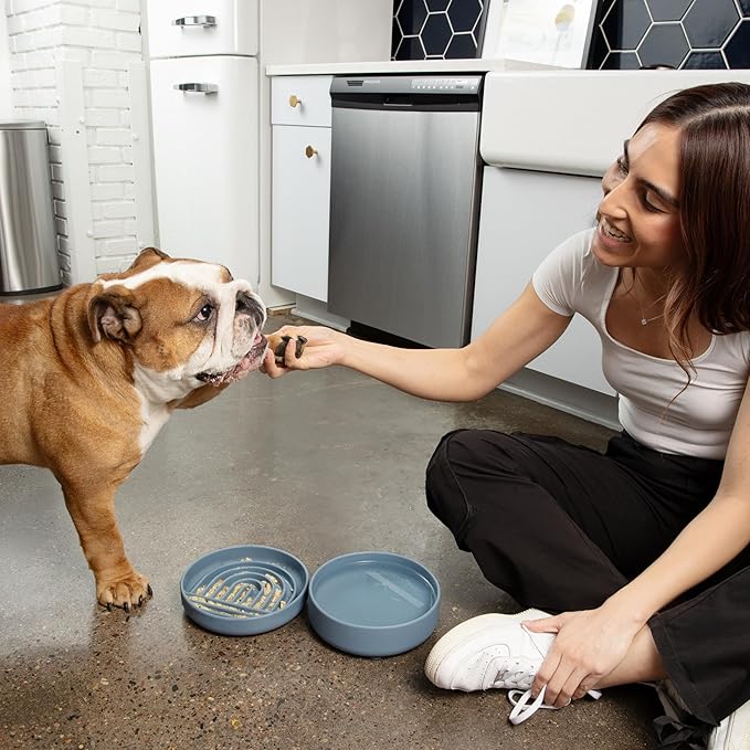 Should We Go? Slow Feeder for Dogs & Puppies, The Slowdown Bowl Silicone Slow Eating, Modern Lick Mat Design, Reduces Gulping, Fits 2 Cups, 7.5” Across x 1.5” Tall, Mealtime Challenge, Medium-Tan