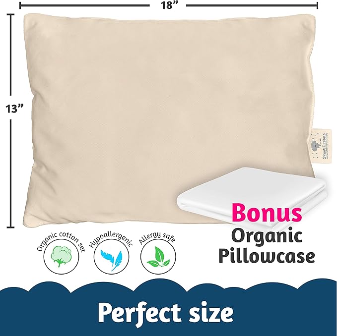 Organic Toddler Pillow Made in the USA and Organic Cotton Pillowcase - 13x18 Soft Natural Cotton Toddler Pillow for Sleeping - Washable Baby Nap Pillow - Travel Pillow - Kids Sleeping Bedding