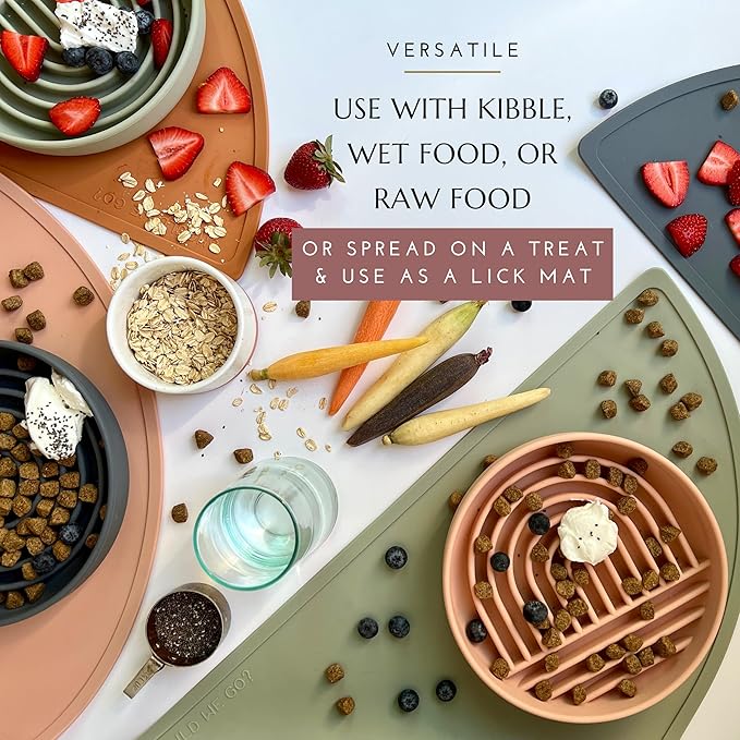 Should We Go? Slow Feeder for Dogs & Puppies, The Slowdown Bowl Silicone Slow Eating, Modern Lick Mat Design, Reduces Gulping, Fits 2 Cups, 7.5” Across x 1.5” Tall, Mealtime Challenge, Medium-Spruce