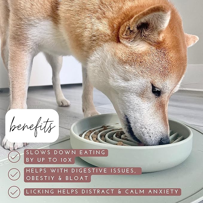 Should We Go? Slow Feeder for Dogs & Puppies, The Slowdown Bowl Silicone Slow Eating Modern Lick Mat Design, Reduces Gulping, Fits 2 Cups 7.5” Across x 1.5” Tall, Mealtime Challenge, Medium-Terracotta